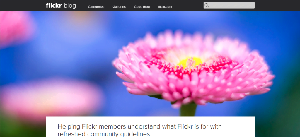 Website Flickr Blog