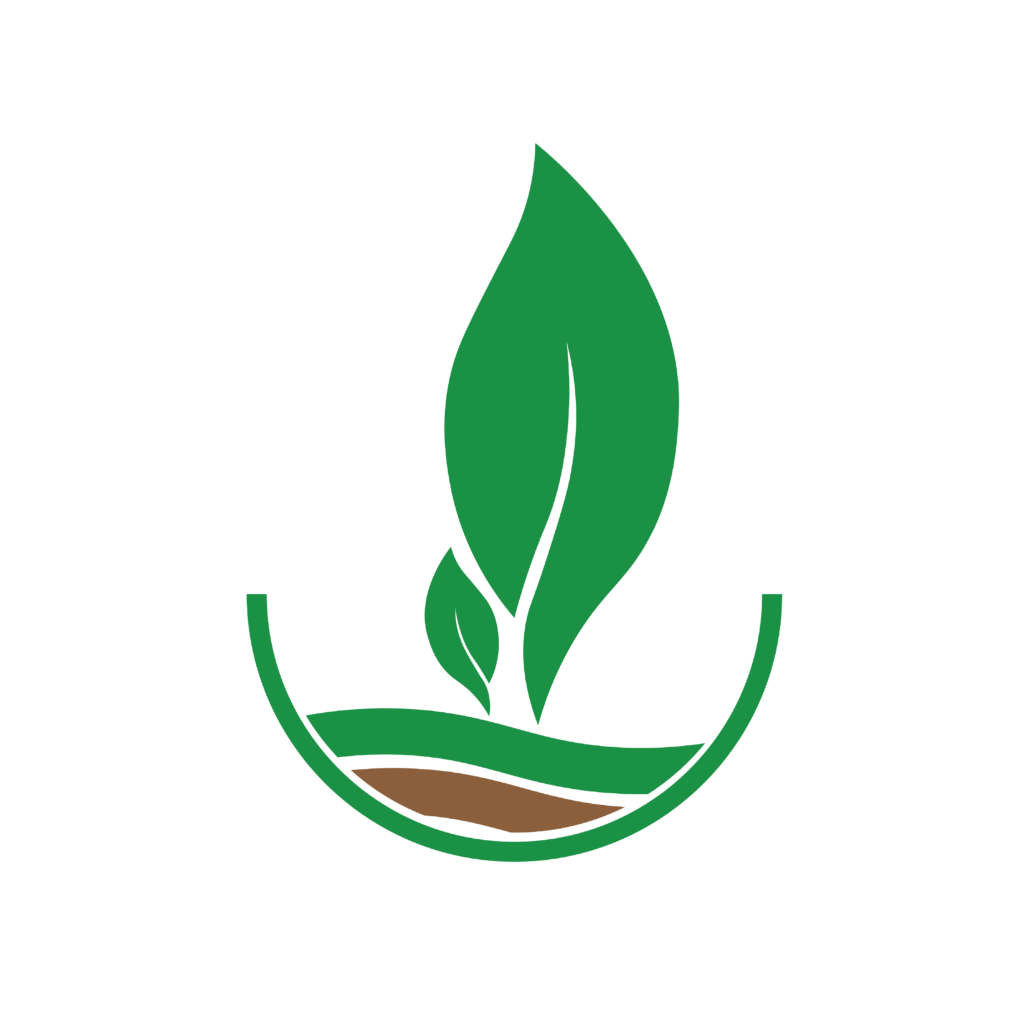 Client Seenau Digital-12